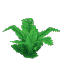 Thumbnail for version as of 20:22, 18 January 2026